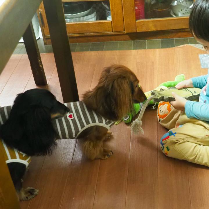 50cafb42 5d14 4ab5 ab1a 07ddaeb859a9 1760858859880