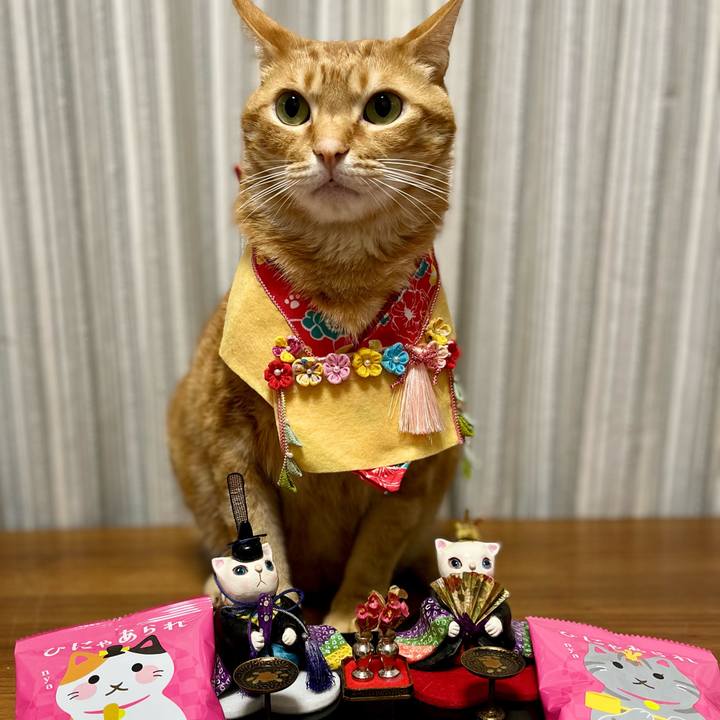 50cafdf8 22b5 4898 83c3 ea4f728f2032 1646257263300