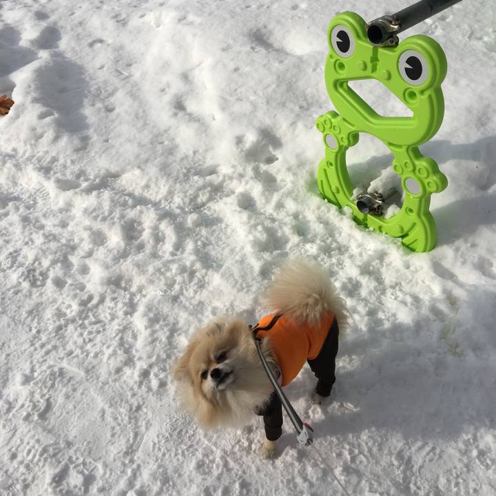 50cb327c c853 4421 80df 04a2420b2ad0 1516339276529