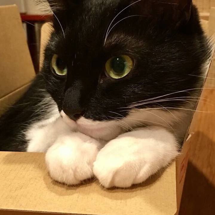 50cb350c 0f24 407d a53d e000d6383cff 1538096508102