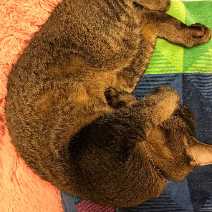 50cb6cf0 9231 43f4 8882 c917e8c0cf3c 1536012174864