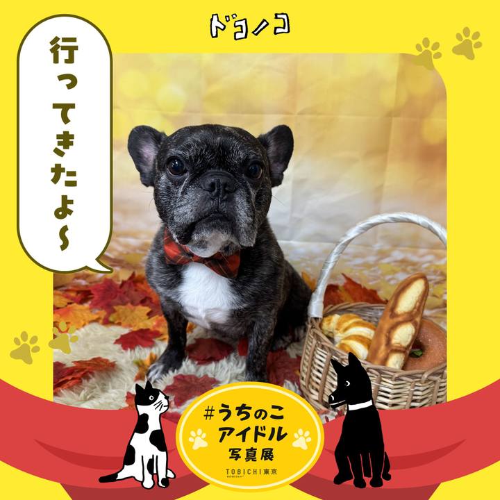 50cbbd1e a931 4e72 98f8 e178513db559 1761355667872