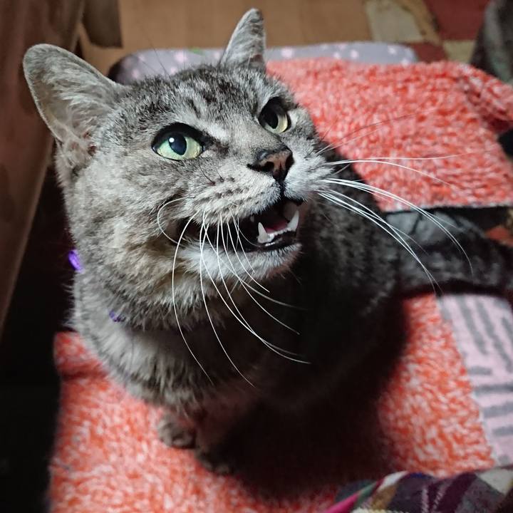 50cbee91 c6a5 4eef 8e50 b71611fe2b97 1584820897781