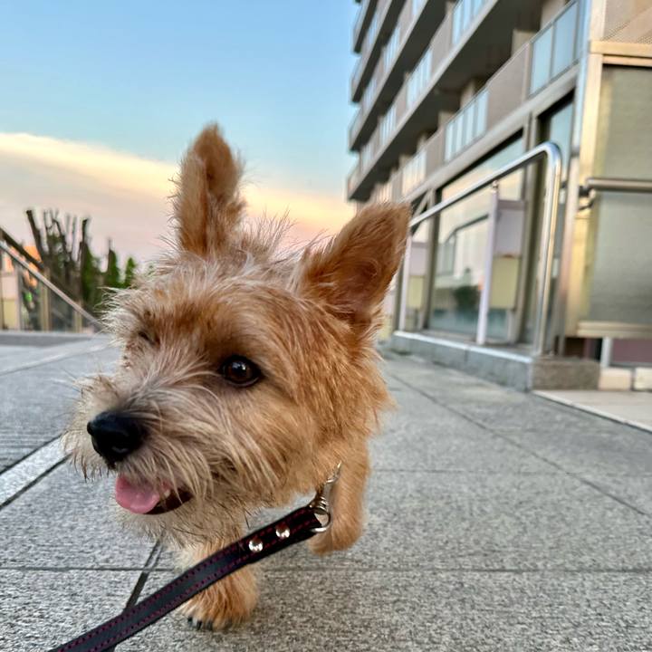 50cc3caf 4256 40f2 8924 8561b79a2583 1723164910322