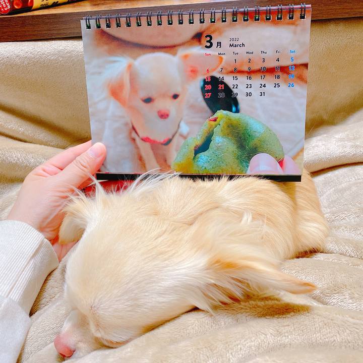 50cc6fc5 ad27 4d83 8ec9 9a5c488326b1 1646120786416