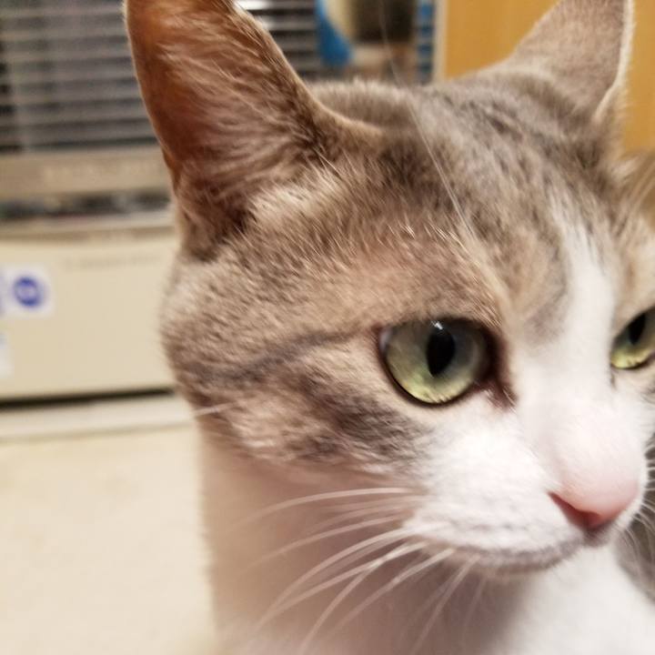 50cca273 9f80 4acc b9d8 d1d4d8737d44 1646308973773