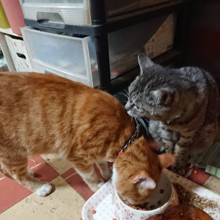 50ccc5ae 4fcd 4a23 8c7d c73e1e064d97 1570527011080