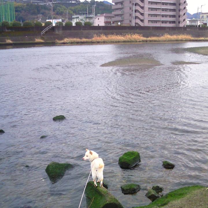 50ccc96e bf69 49d4 bf3f 5b88f09c4ae4 1655758297984