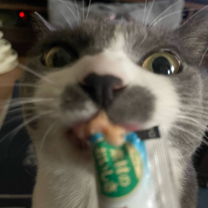 50cce2df ccf7 4fdf 8fb1 9139cba2cc9b 1727504443829