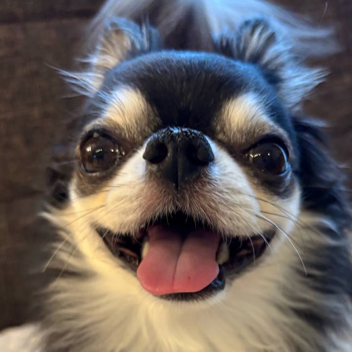 50cd1ee4 fb40 4b05 b679 4e752a9fcb69 1747436867606