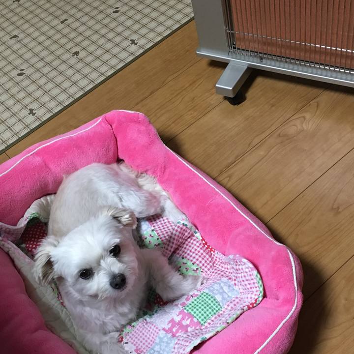 50cd3a6b 41f1 4fd5 95e1 5d11439a198f 1540199683363