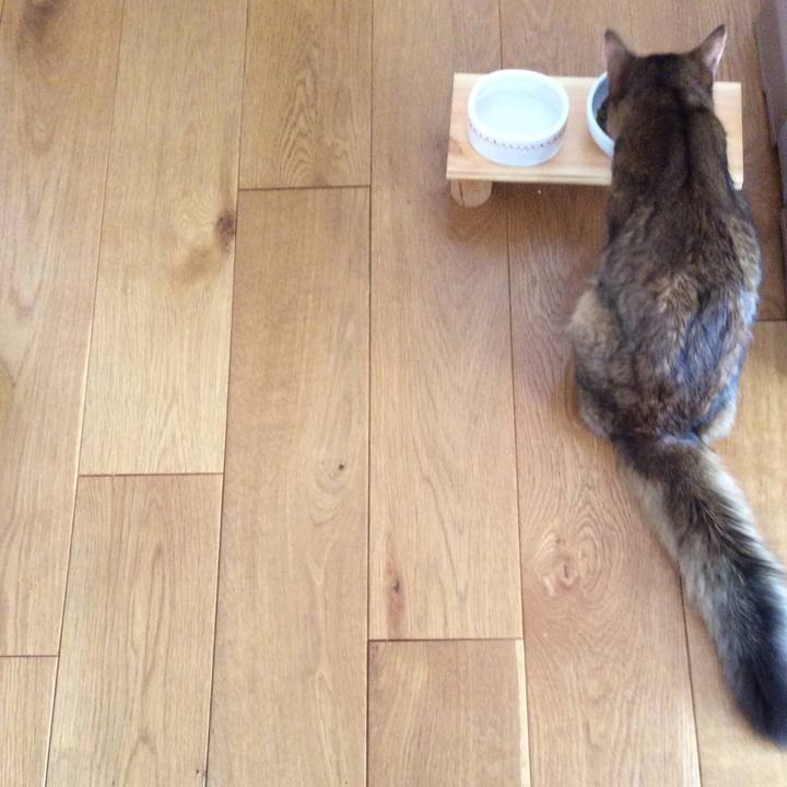 50cd3ed8 3ca9 41a2 b8ed 905d3a3476ad 1564984138653