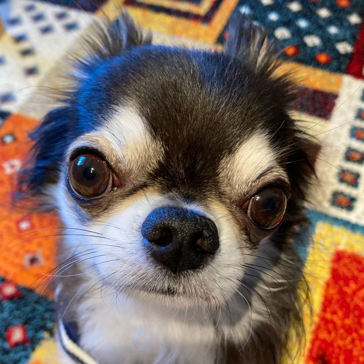 50cd592e cde6 454d 9c7a 5fdb38a8e0bc 1714780990441