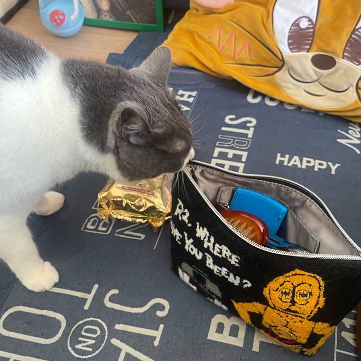 50cd9c65 1341 44db 925f ca5af4ac57d2 1741483270497