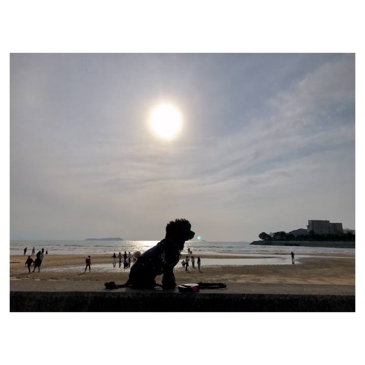 50cda6cd dc94 4cbd 99e3 95bac2498fc7 1552557027284