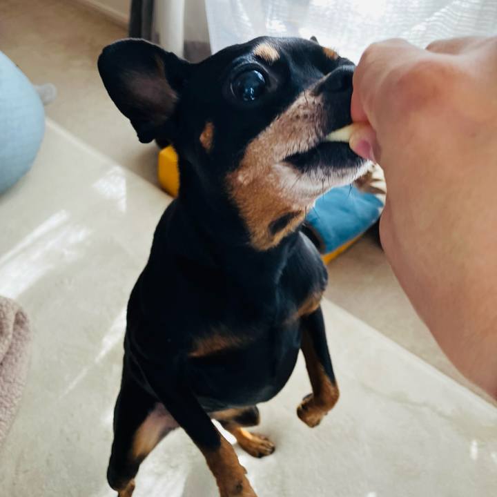 50cdb03c c201 49e8 b3e8 e71e5016cf85 1769297726069