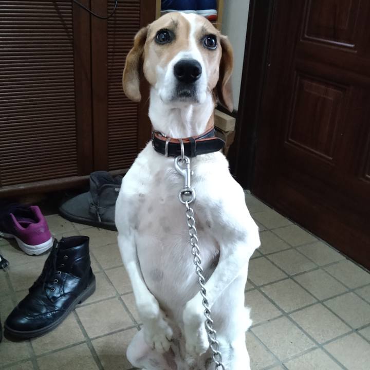 50cde9bf a69b 4684 b579 16f385ac7bb2 1632468997086