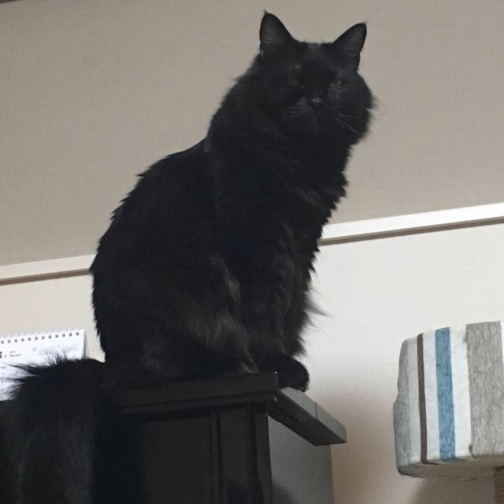 50ce2738 4fab 44e7 9f6c 4d39ac3bcb2b 1517319013554