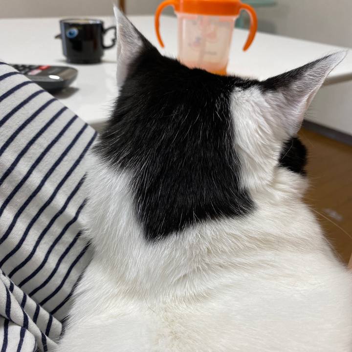 50ce6d97 31dc 4433 b0b5 175b3654e72f 1618271775599