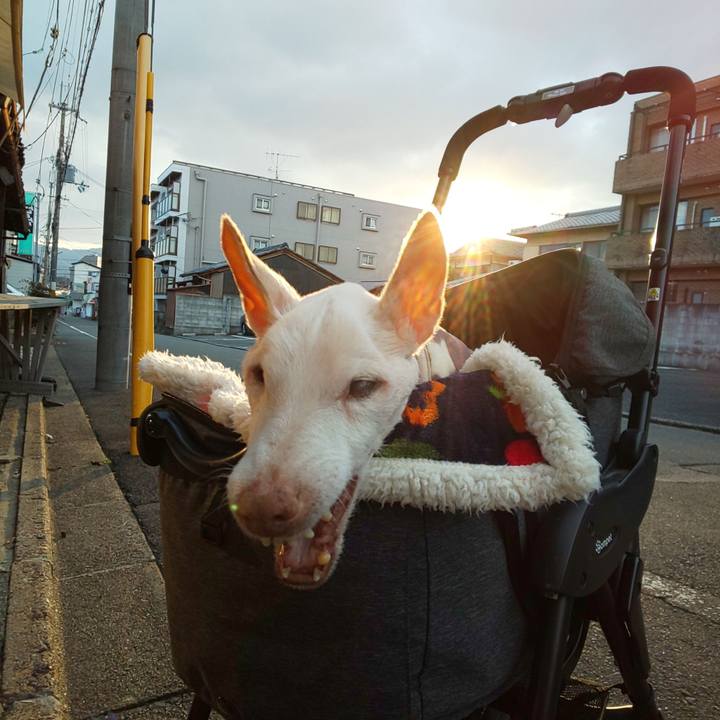 50ceb1bc 833b 4f56 b87b 9a243646c2da 1614036438181