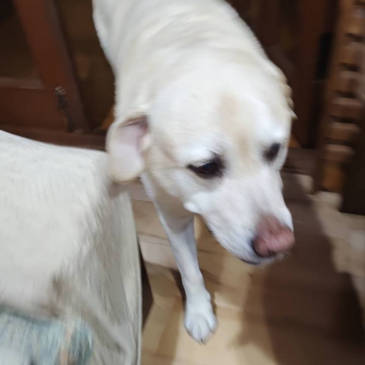 50cec25f de8e 4bc7 ba46 1550fc6854f2 1756384760297