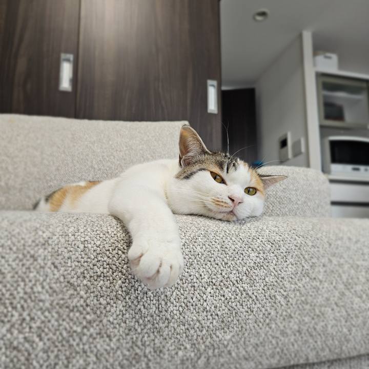 50ceecf6 2b5a 4622 8e31 dfb8a7d39681 1768699121212