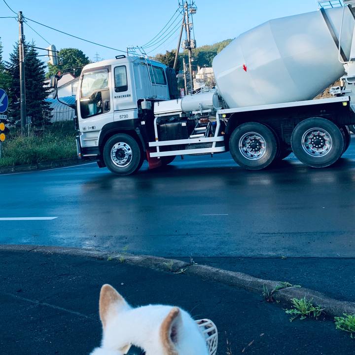 50cef257 b1a7 4f6f 93fd 8aa6e8da20d3 1601593231371