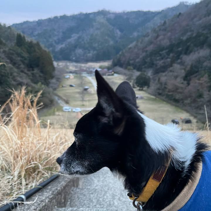 50cef91e d941 4711 b010 766aa08cc0eb 1774346182119