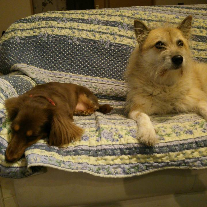 50cf554d 9b9b 40f2 a9af cbbb125ef858 1511606625023