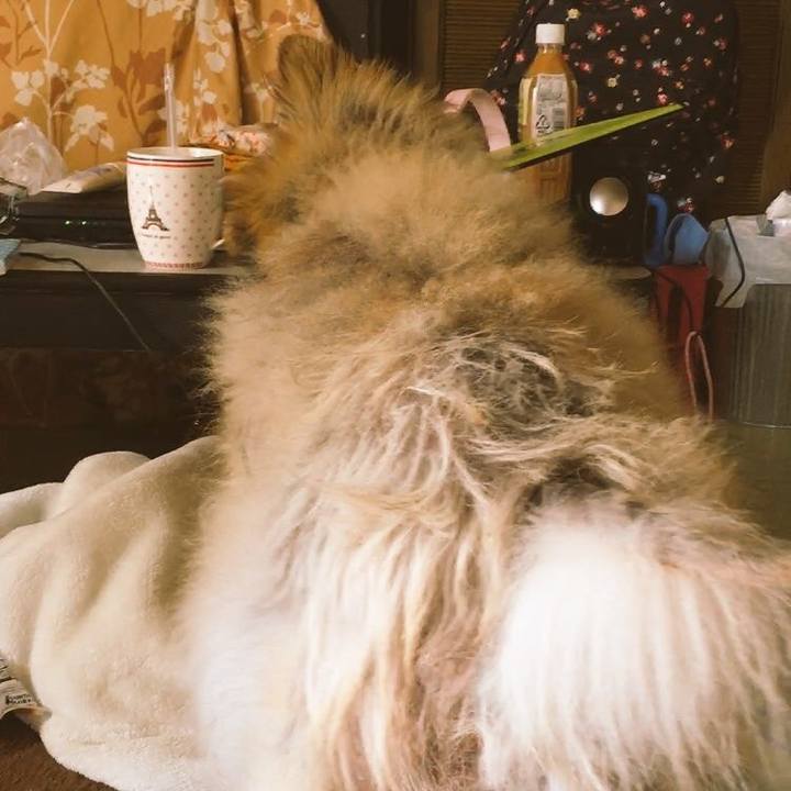 50cf5df2 16b6 400b 9897 ad4bf63e710f 1620171557289