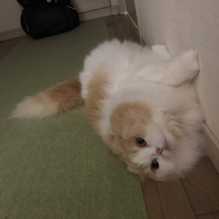 50cf81b4 d594 46d7 ad67 45fb836bd23c 1556660171435