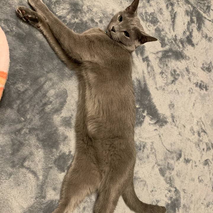 50cfa67c 0529 4597 a4d5 3bedf08b0b86 1611330669119