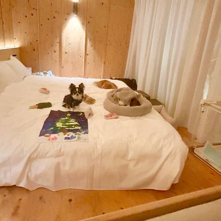 50cfb33b dbe7 4220 a2e3 3e9f7d385e57 1764880506366