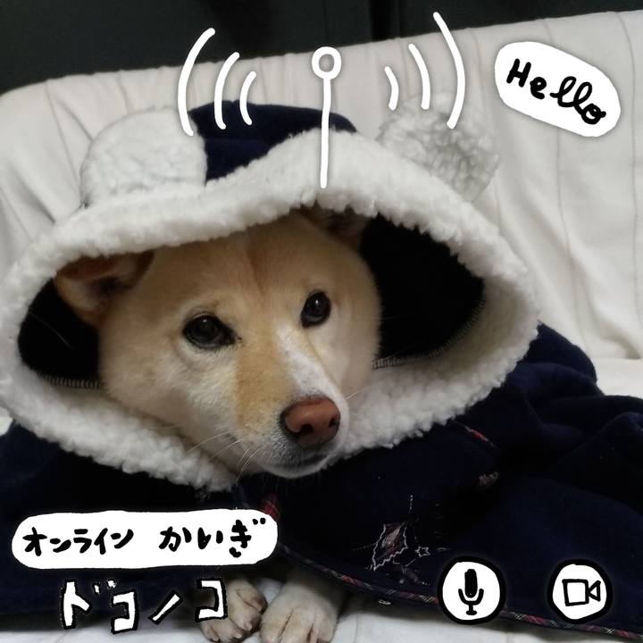 50cfc0ab a338 4542 bc18 7ebfeeba88c6 1590976810473