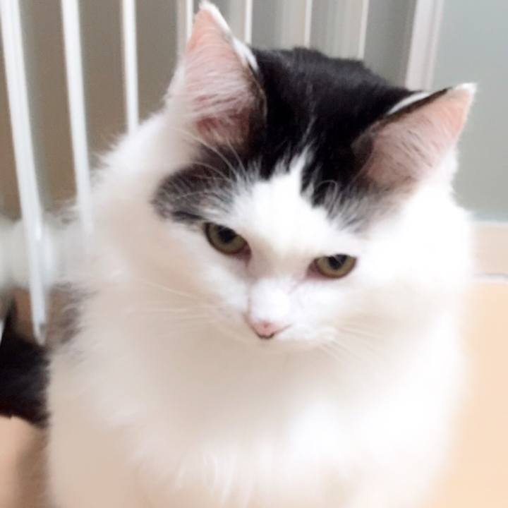 50cfc5c1 1891 4d26 aeab b300fee24b36 1512045434250