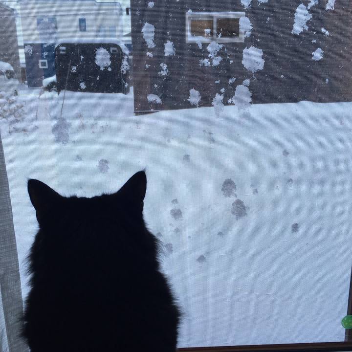 50d004e7 bc7d 4bd7 b9bb 607f3c9d2787 1512472295398