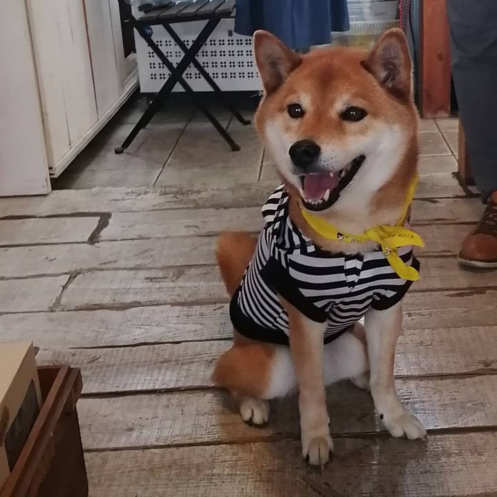 50d03f99 d511 472d 94c4 eeae948cb9f6 1618573494855