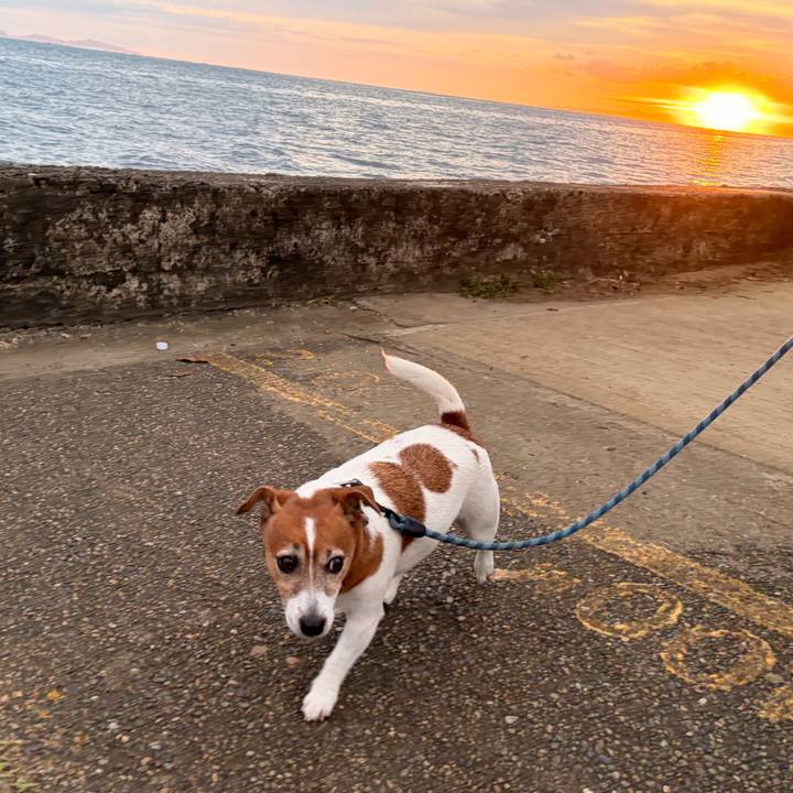 50d0726d bd39 4907 8dbc d475a38d012a 1773823095205