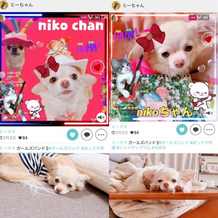 50d08c61 c741 41f5 ba84 a1764626c113 1675476959064