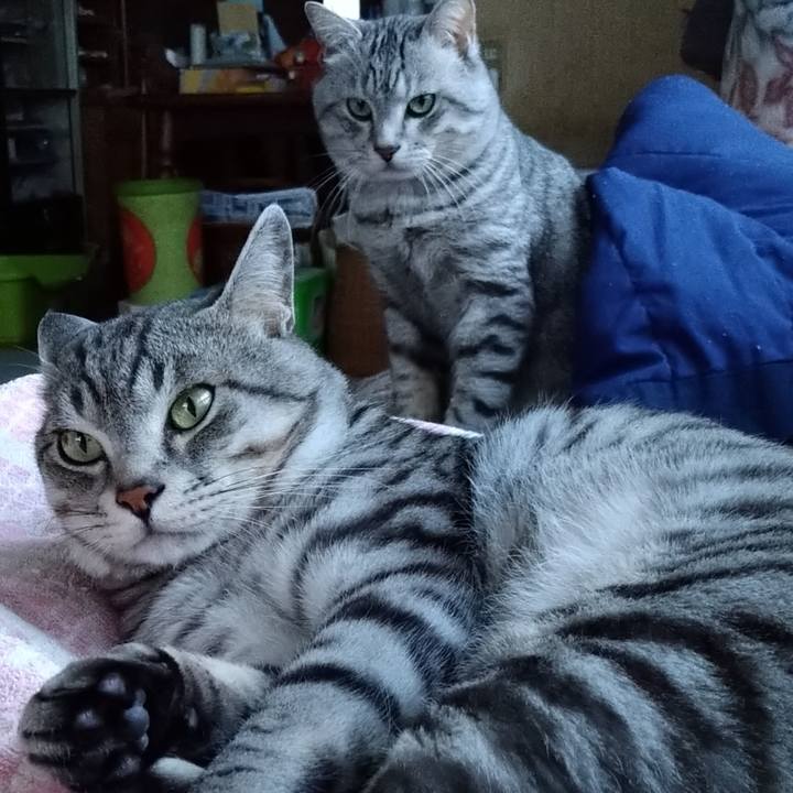 50d0b351 0867 4b8e bf57 cae382aa0b0c 1645522050436