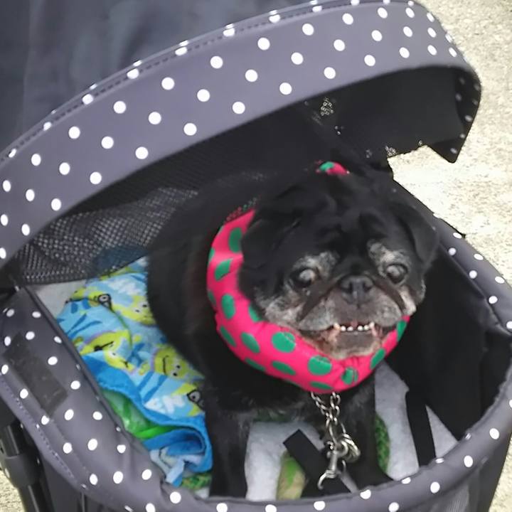 50d0e4cd 67bd 45c0 bcc8 e36a2b602c70 1532954561701