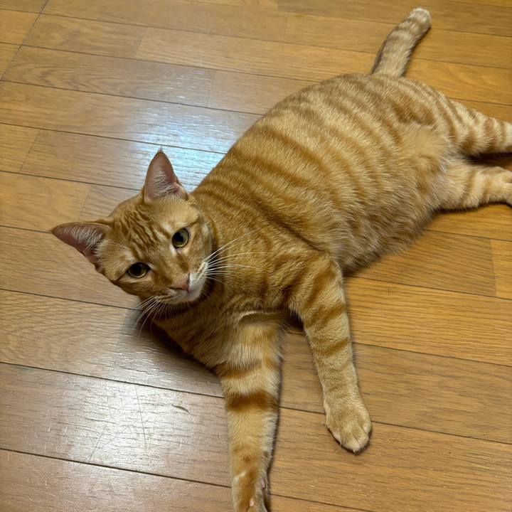 50d10d97 90df 459e 909e ba8784a19b8c 1756897012676