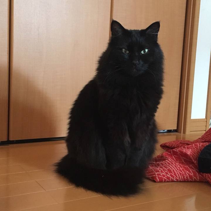 50d157f4 b768 4dc9 a6a5 20e61e0cec96 1558339696473