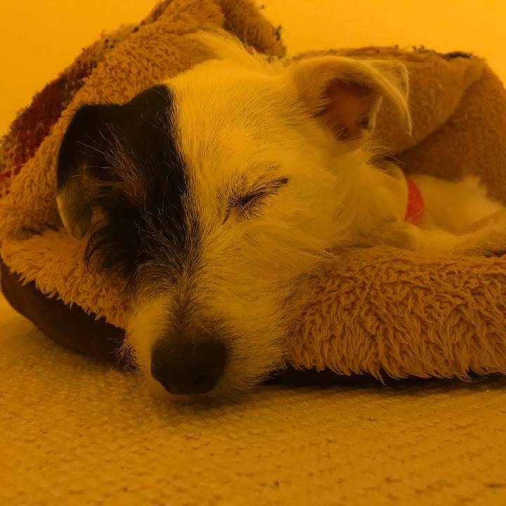 50d1b785 4410 4b78 bb5c e3f0aeee12b4 1511790779512