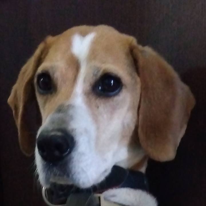 50d1e7a0 10d7 4e3a b815 4fa122ea0b0f 1685018596979