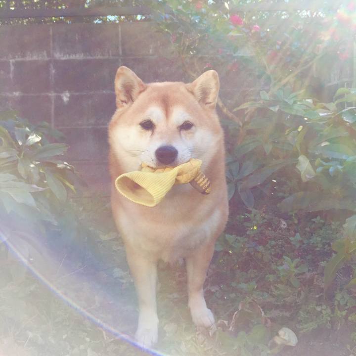 50d267f1 4415 4a76 95d8 036e79916666 1546732971641