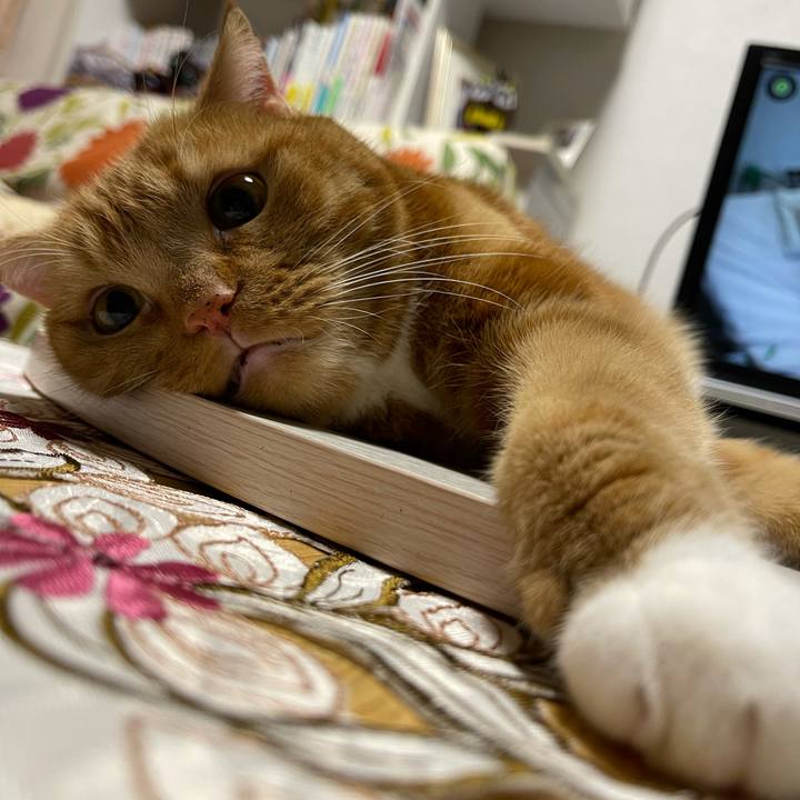 50d26823 3283 4d0d aa90 5e71193519f1 1630078241551