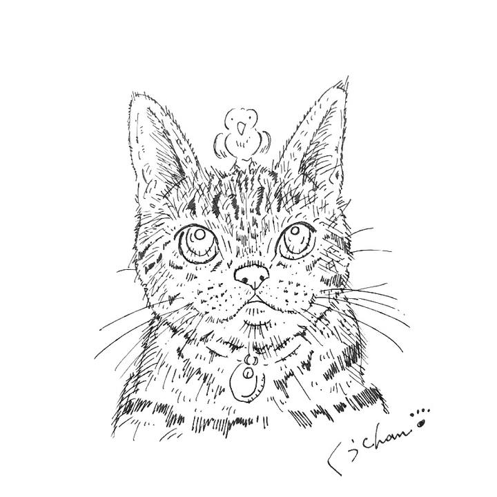 50d27a1a c2ea 417f 95e2 2b2e02a41225 1582398422412