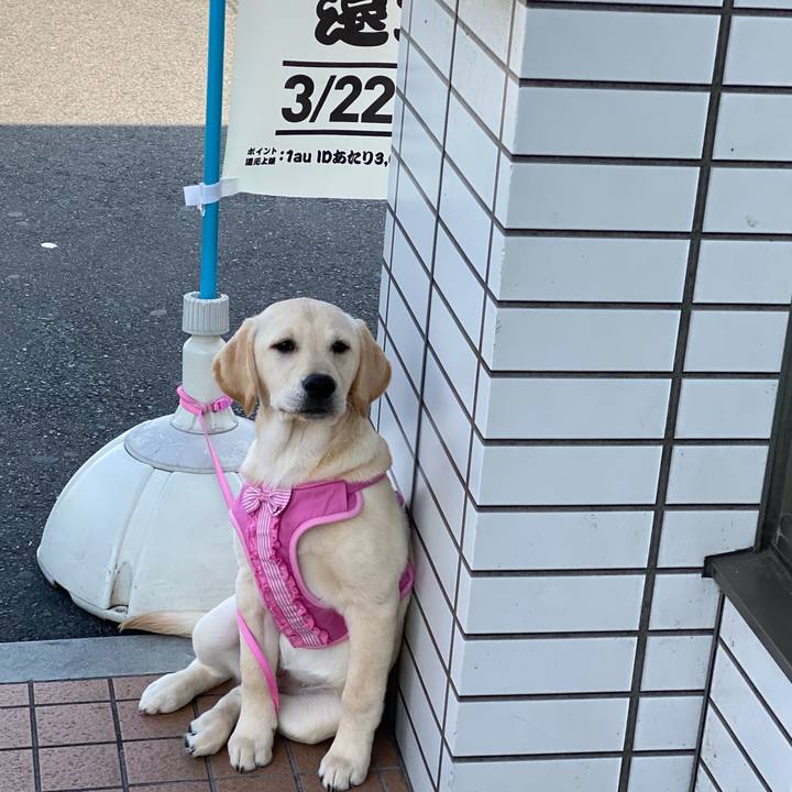 50d28d57 909f 4745 9fc8 bfebd30294d7 1615170596805