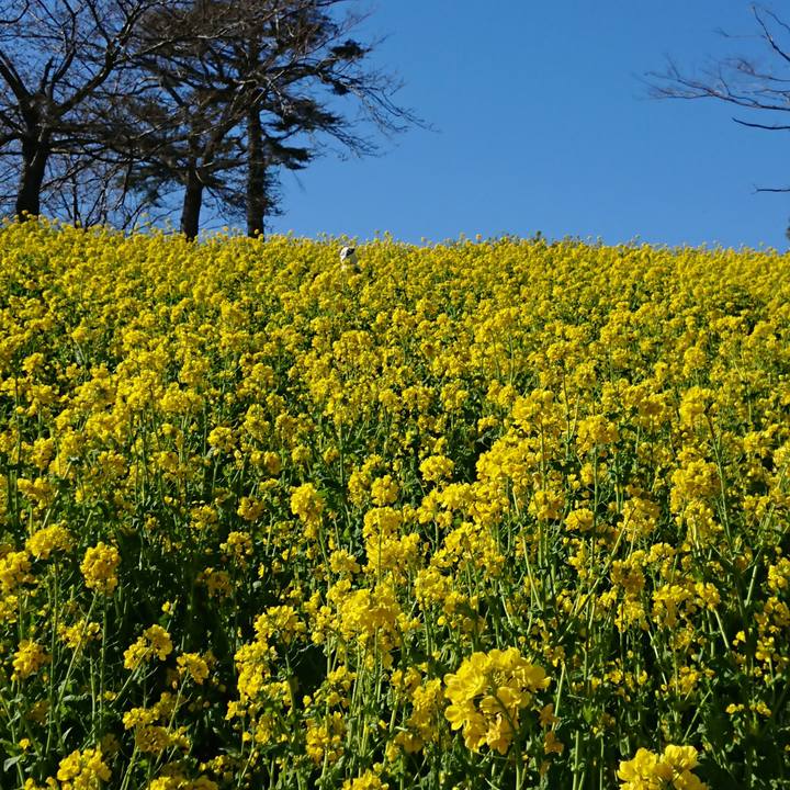 50d2c940 b637 4145 92ed e3cab84b04c7 1553469526330